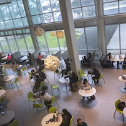 Inside of the library